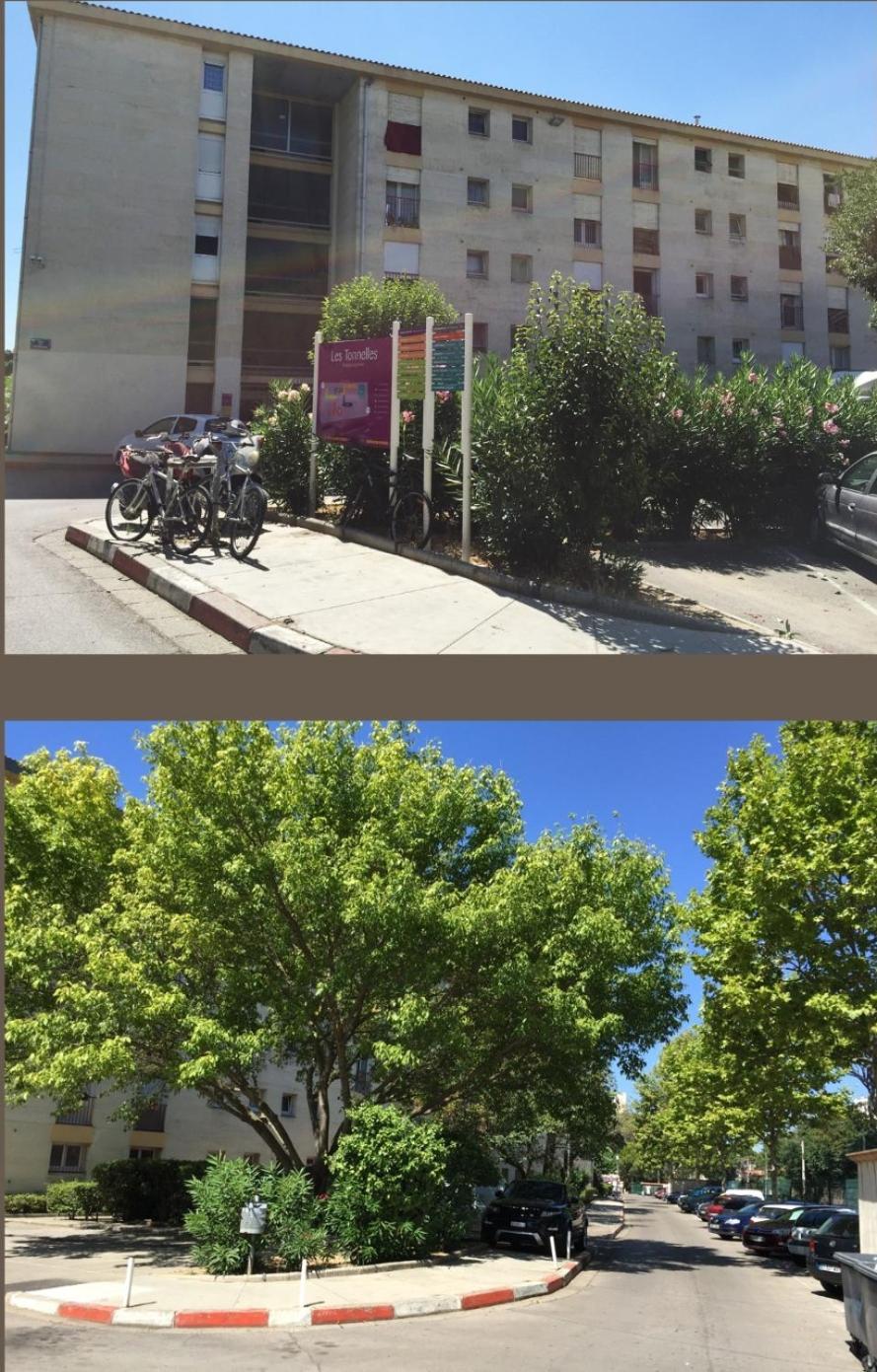 Studio 50M Tram Parking Gratuit 13Min Gare Montpellier Exterior foto